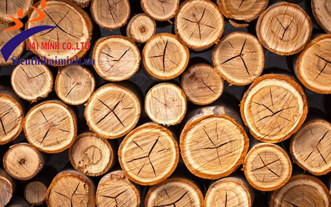 Sử dụng máy đo độ ẩm gỗ giúp bảo quản và sử dụng gỗ tốt hơn